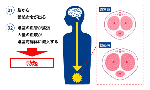 おすすめポイント3